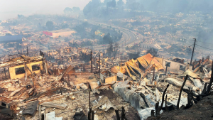 Lo que se sabe de los incendios forestales en Penco - Lirquén: viviendas afectadas, evacuados y hectáreas consumidas