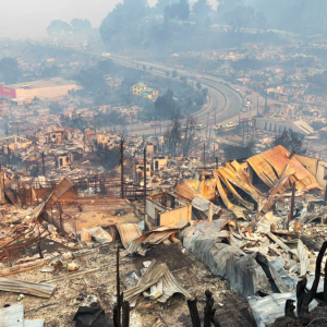 Lo que se sabe de los incendios forestales en Penco - Lirquén: viviendas afectadas, evacuados y hectáreas consumidas
