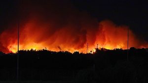 Gobernador del Biobío apunta a intencionalidad tras incendios: 