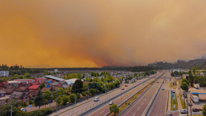 Las comunas del Biobío que tendrán toque de queda por incendios forestales: revisa los horarios y sectores