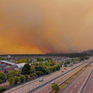 Las comunas del Biobío que tendrán toque de queda por incendios forestales: revisa los horarios y sectores