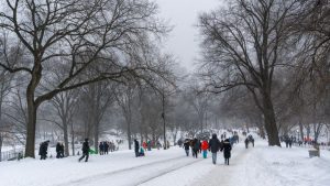 VIDEOS - Tormenta invernal de Estados Unidos: 11 muertos y peor día de cancelaciones masivas de vuelos desde la pandemia