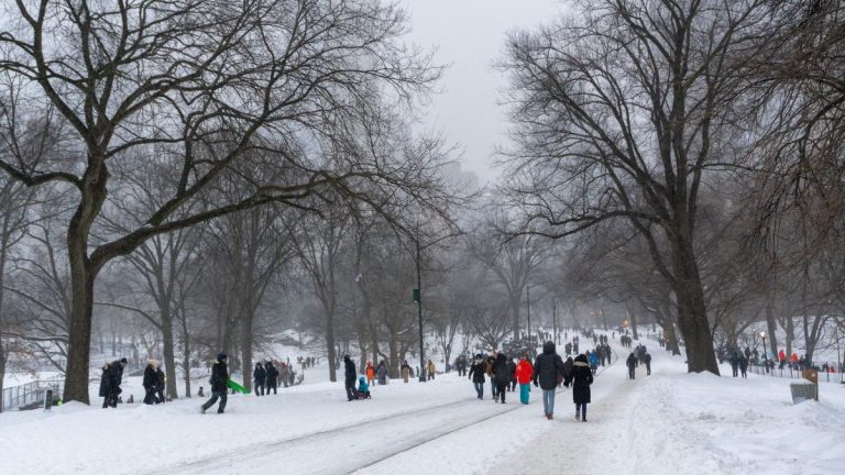 VIDEOS - Tormenta invernal de Estados Unidos: 18 muertos y peor día de cancelaciones masivas de vuelos desde la pandemia