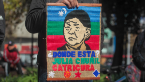 A un mes de la detención de sus hijos: búsqueda de Julia Chuñil se amplía a fundo de empresario Morstadt