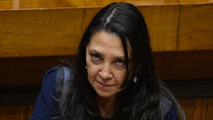 El lamento del Gobierno por proyecto sobre eutanasia: 