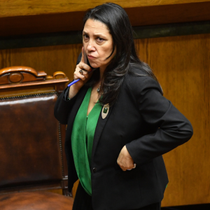 El último intento del Gobierno por la reforma política: ministra Lobos cita a diputados para destrabar proyecto antes de marzo