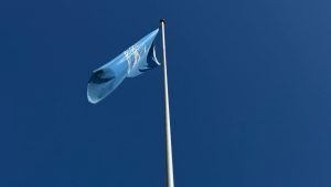 Expertos de la ONU acusan presuntos crímenes de lesa humanidad en archivos de Epstein