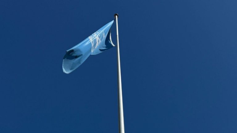 Expertos de la ONU acusan presuntos crímenes de lesa humanidad en archivos de Epstein