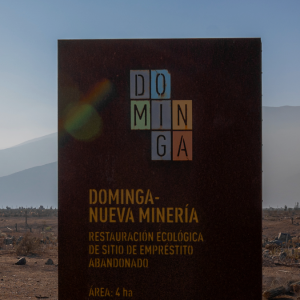 Freno judicial a Dominga: Corte de Antofagasta detiene ejecución de fallo ambiental