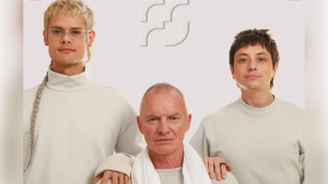 Message in a Feed: cuando el canon se volvió algoritmo