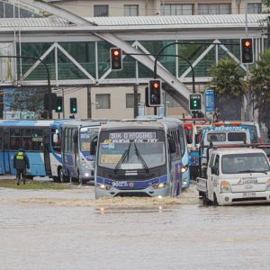 Sistema frontal golpea al Bío Bío: caída de árboles, rutas cortadas y miles sin luz