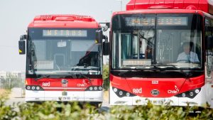 Metro y Red Movilidad anuncian plan especial por Lollapalooza 2026: revisa horarios y recorridos