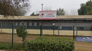 Nuevo caso de violencia escolar remece al país: estudiante intentó ingresar con arma de fuego a colegio en Curicó