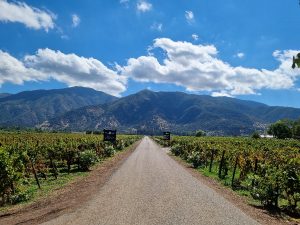 Un viaje en el Tren del Vino a San Fernando, la puerta de entrada al Valle de Colchagua