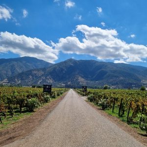 Un viaje en el Tren del Vino a San Fernando, la puerta de entrada al Valle de Colchagua