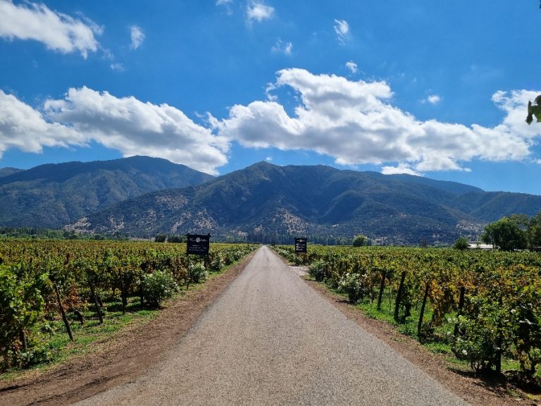 Un viaje en el Tren del Vino a San Fernando, la puerta de entrada al Valle de Colchagua