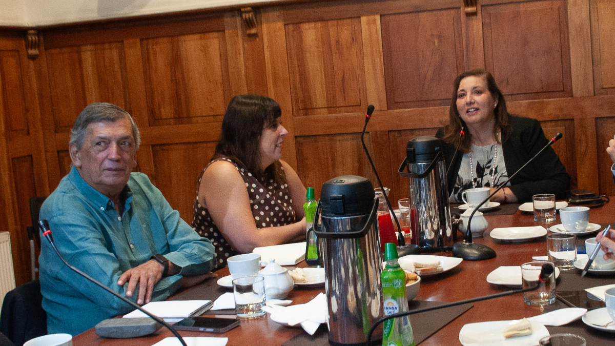 El efecto dominó del bencinazo que terminó por acelerar la articulación de las oposiciones