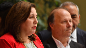 La trama socialista en el Senado: De Urresti se queda con la presidencia para 2027 y Vodanovic le quita piso a Cicardini