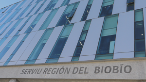 Serviu pide renuncia de funcionario que usaba cuenta troll contra damnificados de incendios en el sur