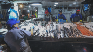 Iglesia Católica llama a empresas a dar facilidades a trabajadores para celebrar Semana Santa