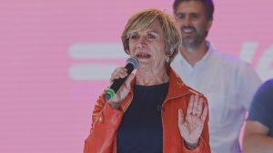 Evelyn Matthei critica retiro de decretos ambientales: 