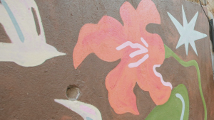 Construir cultura desde y con el territorio