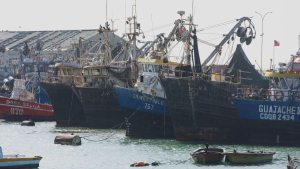 Ley Longueira sigue vigente: las razones del Gobierno para retirar del Congreso el nuevo proyecto de pesca