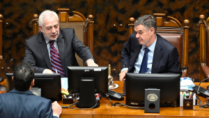 La pugna subterránea en el Senado que involucra al exsecretario Raúl Guzmán y a Manuel José Ossandón