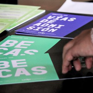 Debate por gratuidad: la orientación vocacional es una política pública pendiente