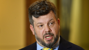 En que consiste el proyecto 