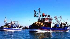 Las pesqueras siguen demandando al Estado: crece la mochila de Kast por Ley de Fraccionamiento Pesquero y piden más de US$380 millones