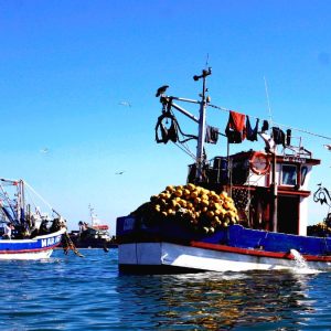 Las pesqueras siguen demandando al Estado: crece la mochila de Kast por Ley de Fraccionamiento Pesquero y piden más de US$380 millones