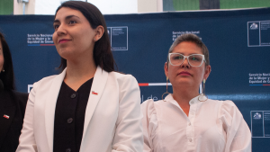 Qué dice el informe que provocó la salida de Priscilla Carrasco del SernamEG