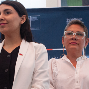 Qué dice el informe que provocó la salida de Priscilla Carrasco del SernamEG