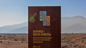 Dominga y lo que el país merece