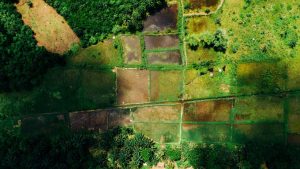 Informe detecta alza sostenida en el valor de la tierra agrícola en Biobío y La Araucanía 