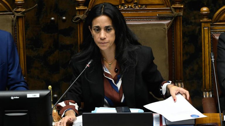 “Tiene que operar la presunción de inocencia”: Núñez llama a evitar juicios anticipados por caso Camila Flores