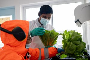 Compost, flora nativa y vendimia son algunas de las iniciativas que conectan al ecosistema minero con el Día de la Tierra