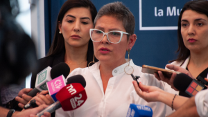 Por licencia médica: Gobierno pausa remoción de la directora del Sernameg Priscilla Carrasco