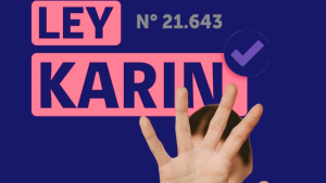 Cuál es la modificacion a la Ley Karin que retiró el Gobierno desde la Contraloría