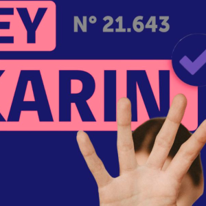 Cuál es la modificacion a la Ley Karin que retiró el Gobierno desde la Contraloría