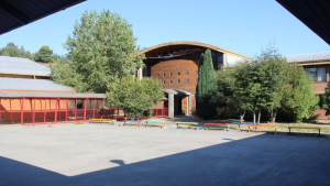 Violencia escolar: las cautelares con las que quedó la alumna que amenazó con tiroteo en colegio de Villarrica