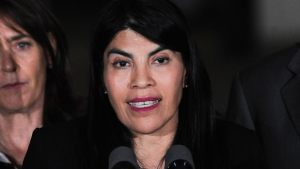 Una ex presidenta de la federación y otro agredió a un funcionario de la Armada: las identidades de los tres detenidos por ataque a ministra Lincolao