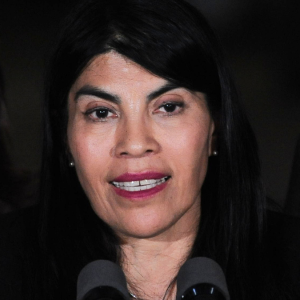 Una ex presidenta de la federación y otro agredió a un funcionario de la Armada: las identidades de los tres detenidos por ataque a ministra Lincolao