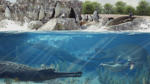 Estudio: Mar del norte de Chile comenzó su enfriamiento definitivo hace 3 millones de años