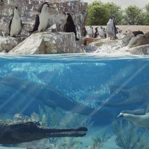 Estudio: Mar del norte de Chile comenzó su enfriamiento definitivo hace 3 millones de años