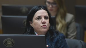 Ministra Steinert rechaza 