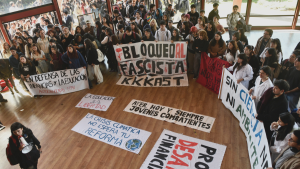 Diputados piden que Fiscalía investigue agresión a Ximena Lincolao en UACh como 