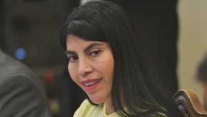 Ministra Lincolao y detención de estudiantes: 