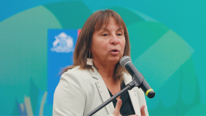 Las gestiones del Minsal para buscar la salida de Jeanette Vega del Hospital de San Antonio